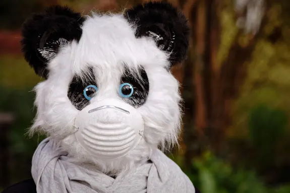 9 Kaszinó Támogatás